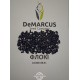 Насіння соняшнику гібрид ФЛОКІ, Україна - DeMARCUS