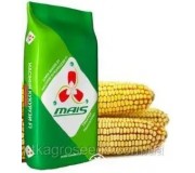 Маїс Маїс