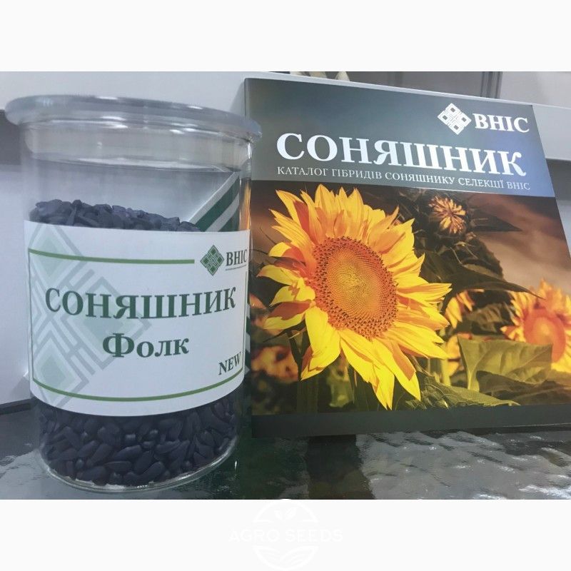 Насіння соняшника гібрид Фолк під гранстар, ТМ ВНІС, Україна - Гранстар