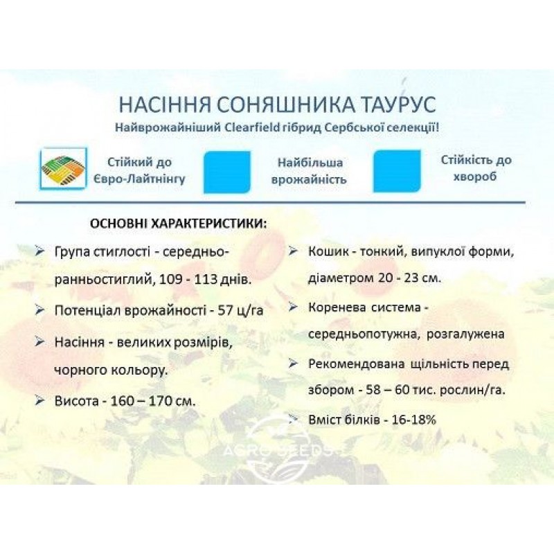 Насіння соняшника гібрид НС Таурус під євро-лайтинг, Сербія - Евролайтінг