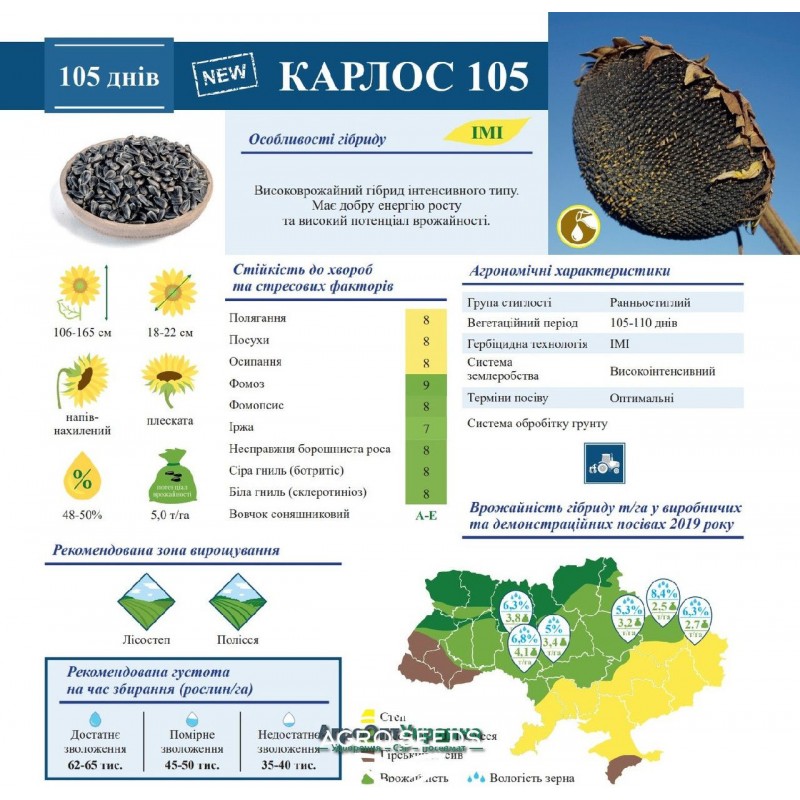 Насіння соняшника гібрид Карлос 105 під євро-лайтнінг, Україна - Евролайтінг