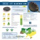 Насіння соняшника гібрид Карлос 105 під євро-лайтнінг, Україна - Евролайтінг