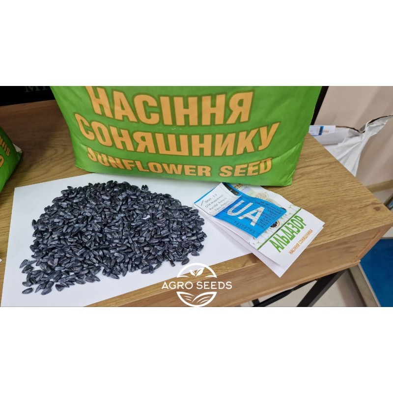 Насіння соняшника гібрид Альдазор, Україна - Соняшник