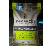DeMARCUS DeMARCUS