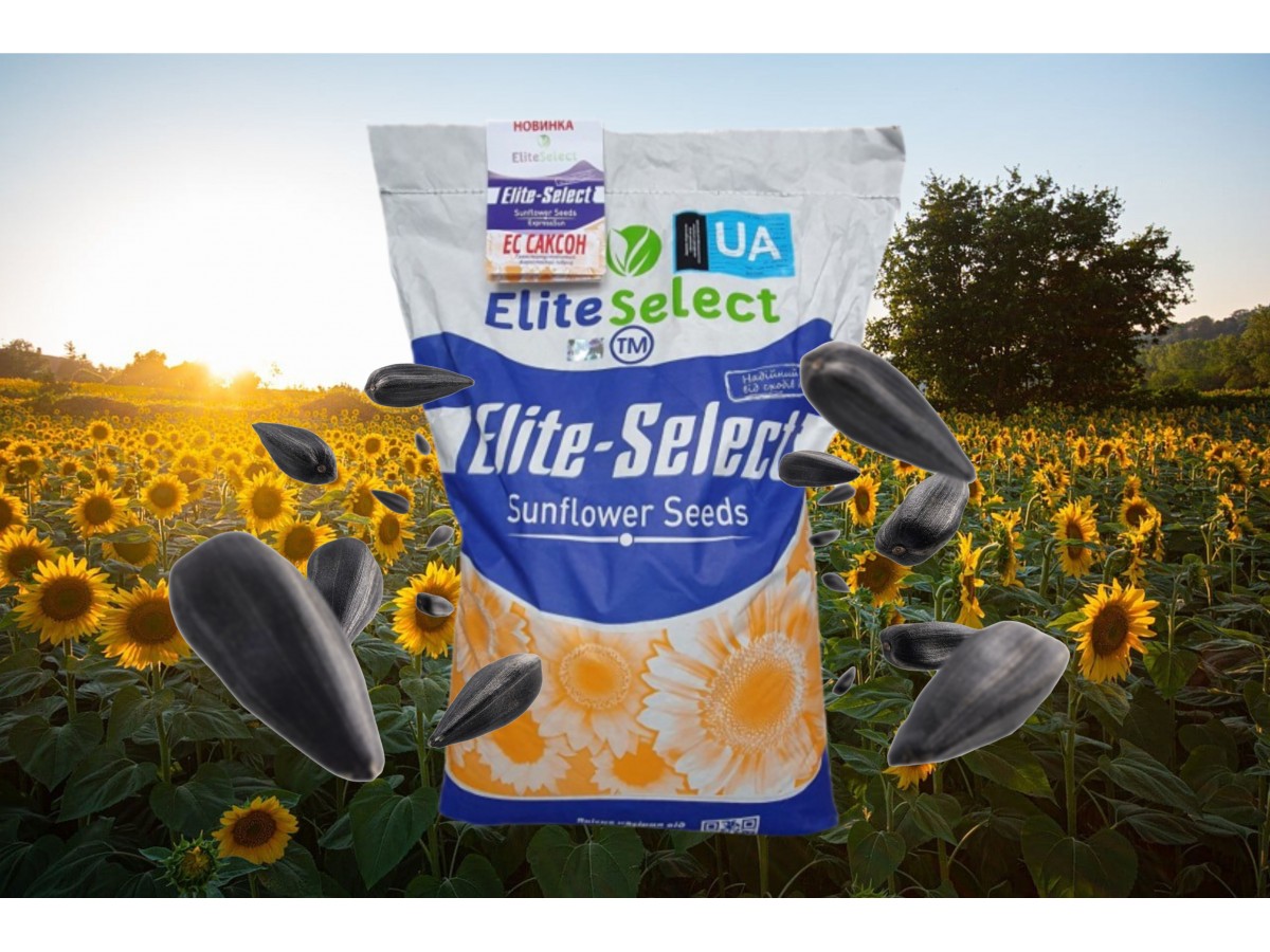 Elite Select – надійний вибір для високого врожаю